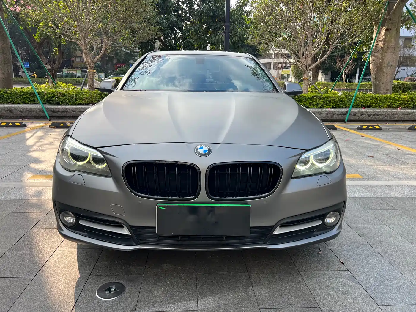 BMW 5 Series 2014 520Li Elegance фото 2