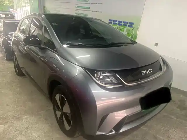 BYD Dolphin 420km, Стиль
