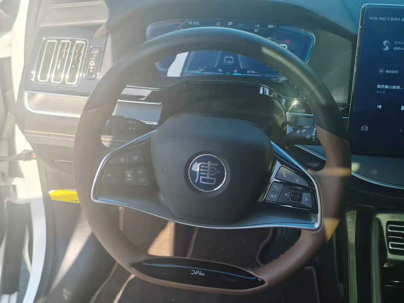 BYD Tang New Energy 2023 Model DM-i Champion Edition 112KM Honor фото 9