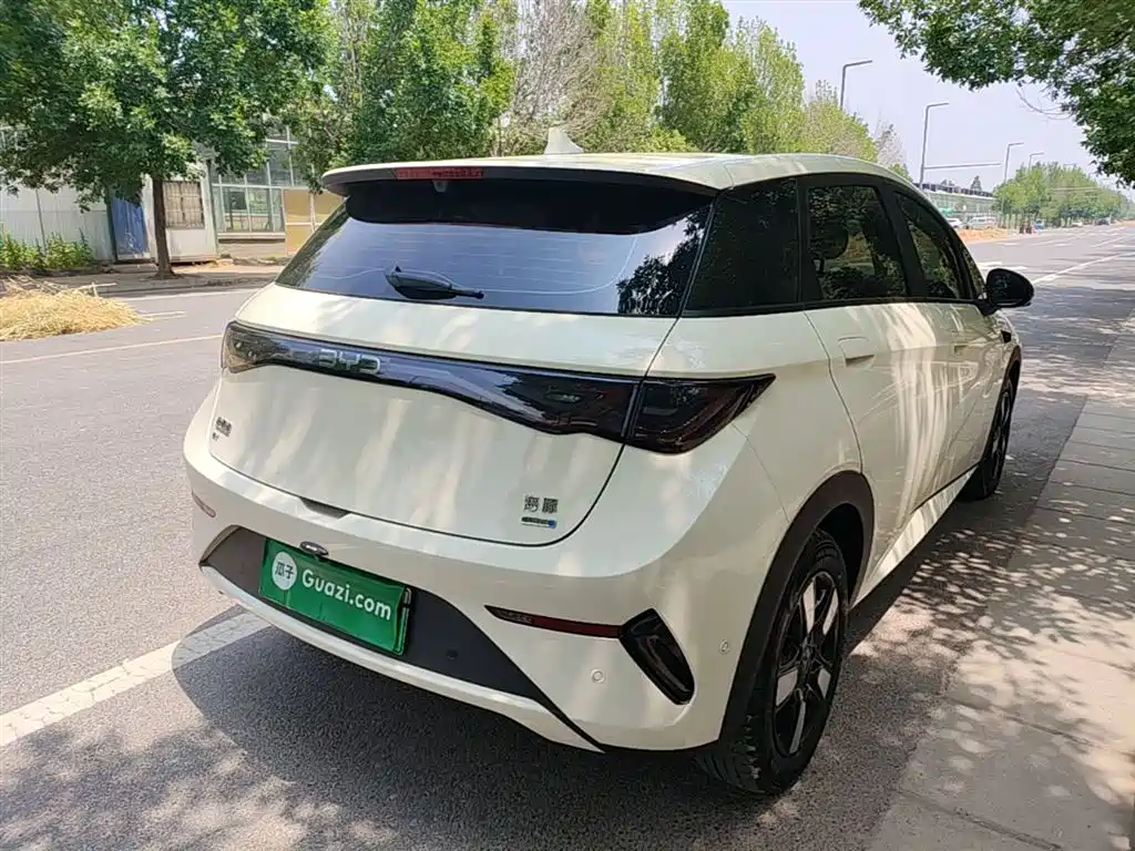 BYD Dolphin 2025 Smart Drive Edition 410km Fashion Version фото 7