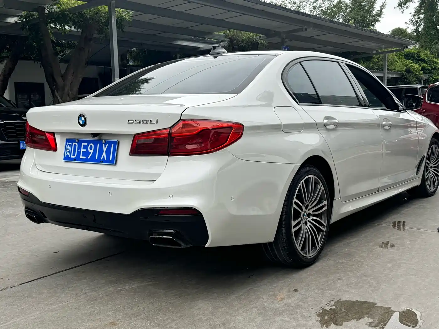 BMW 5 Series 2019 530Li Leading Luxury Package фото 4