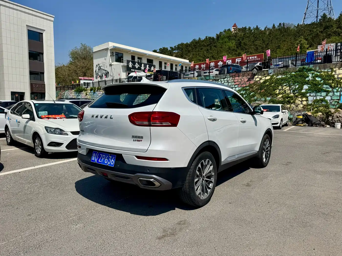 Haval H6 2020 2.0GDIT Automatic Platinum Champion Edition фото 9