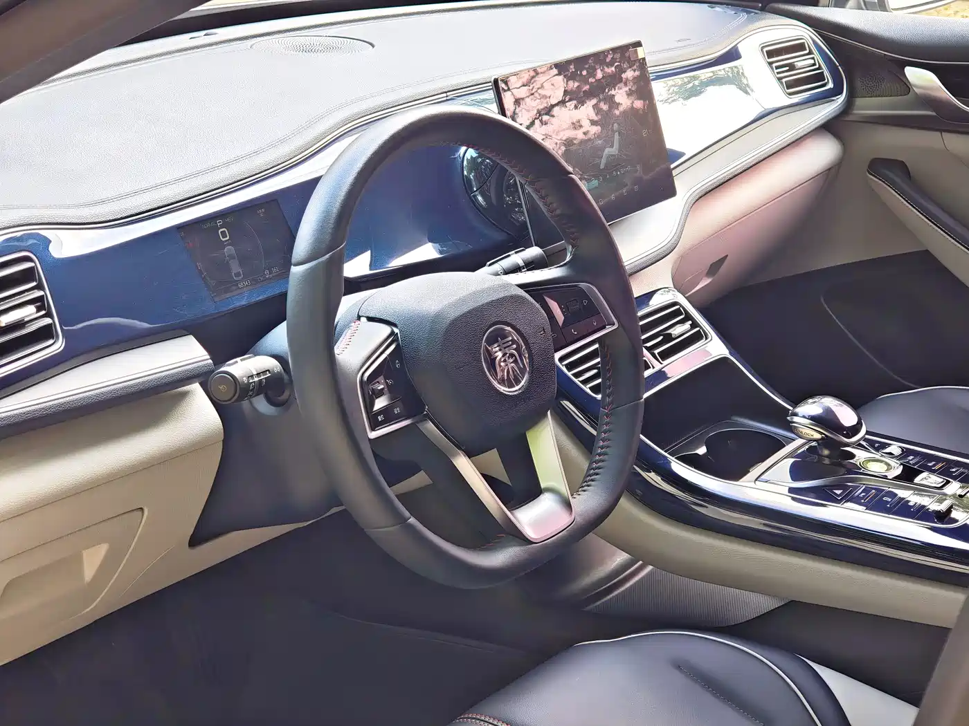 BYD Qin PLUS 2021 DM-i 55KM Flagship фото 4