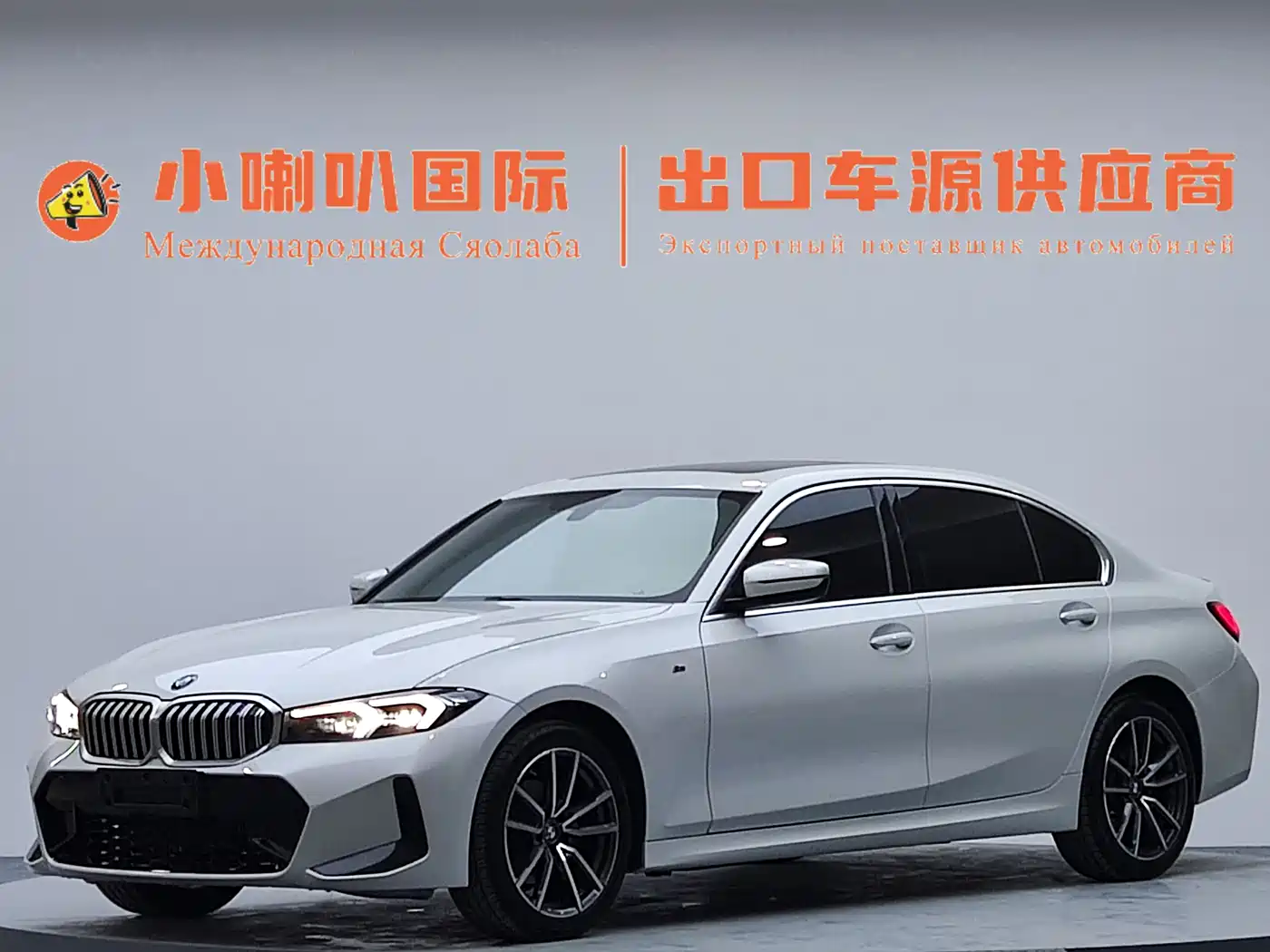 BMW 3 Series 2023 320Li M Sport Package