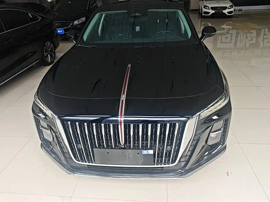 Hongqi H5 2023 2.0T Auto Smart Connect Flag Comfort фото 2