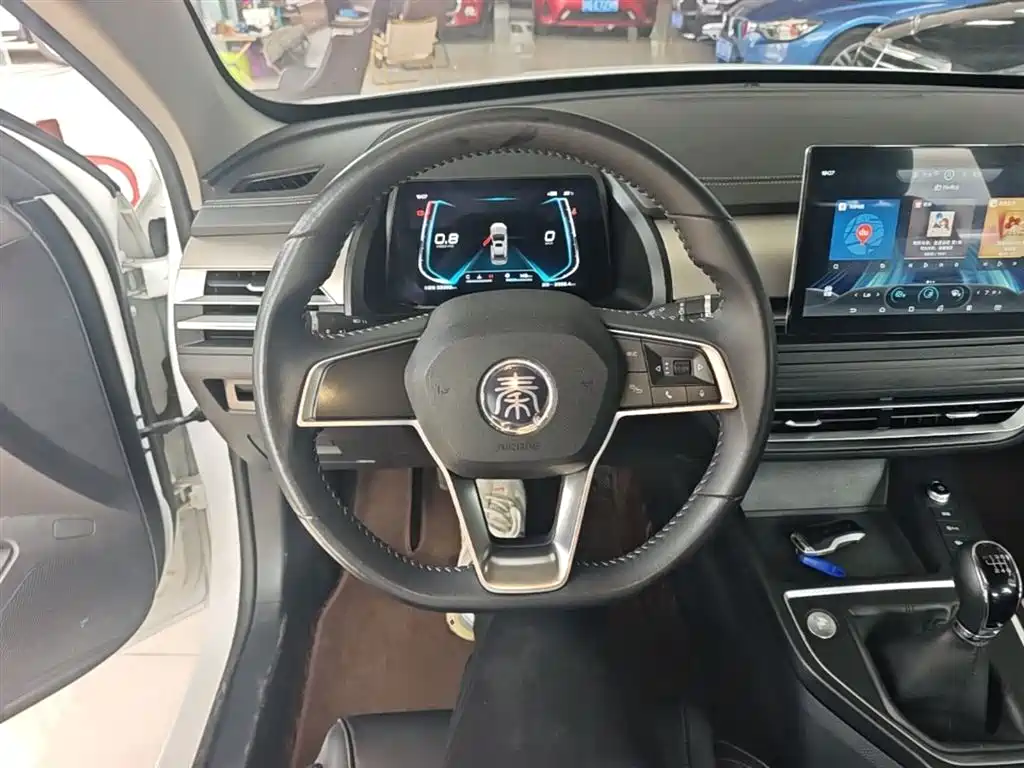 BYD Qin Pro 2020 Surpass Edition 1.5TI Manual Luxury фото 11