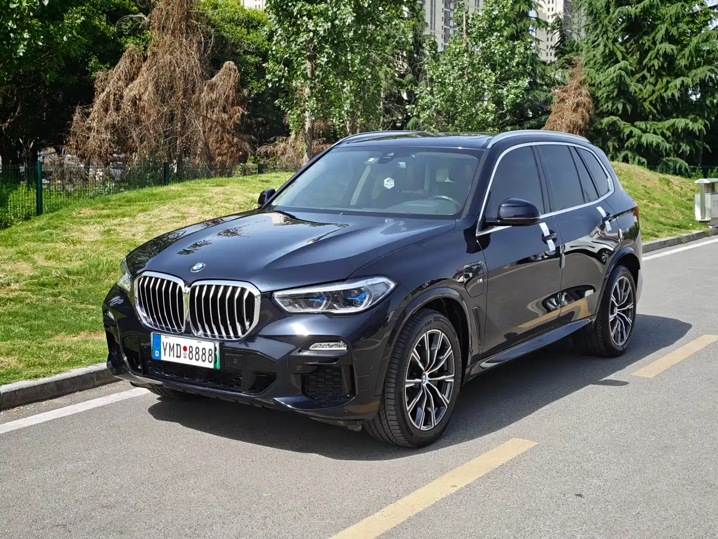 BMW X5 NEW ENERGY (IMPORTED)
