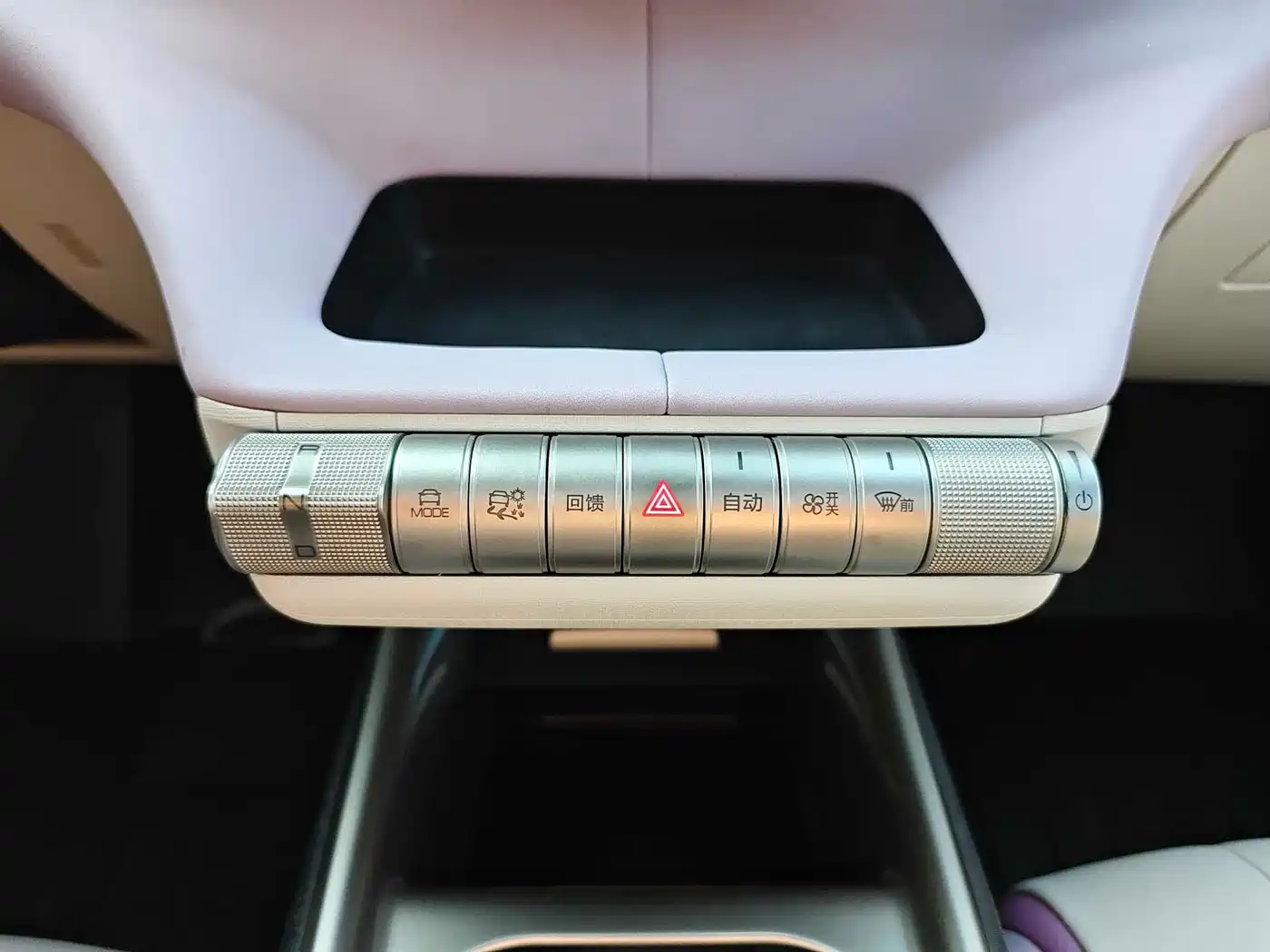 BYD Dolphin 2021 401km Knight Edition фото 18