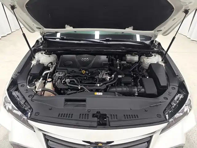 Toyota Avalon 2019 Hybrid 2.5L XLE Premium Edition China V фото 15