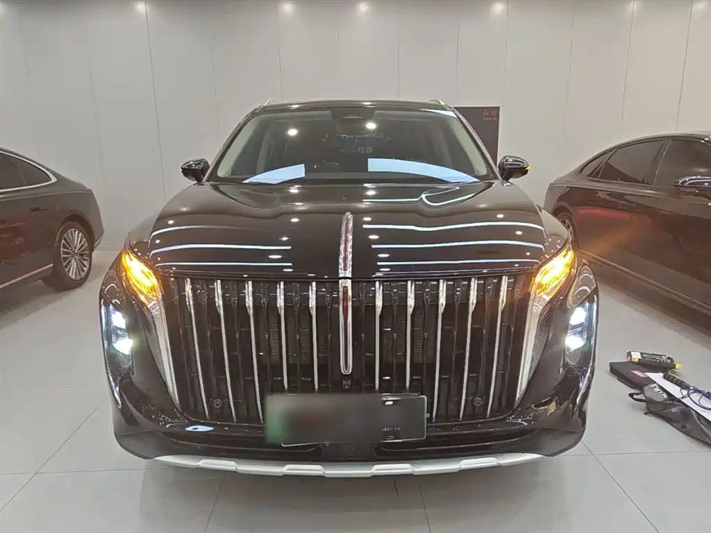 Hongqi HS7 PHEV 2024 2.0T PHEV 4WD Flagship Edition 6-seater фото 3