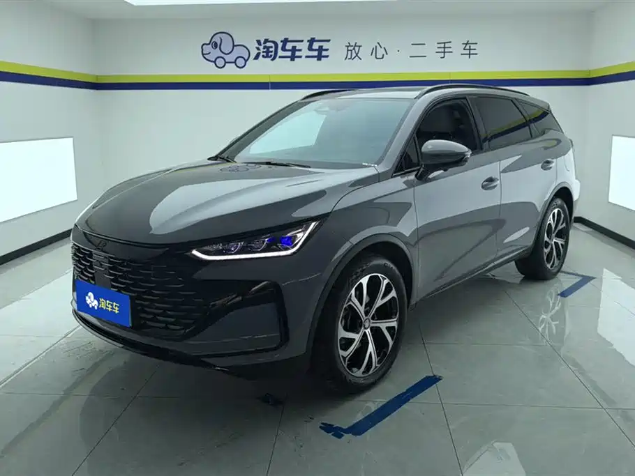 BYD Tang New Energy 2025 DM-i 115KM Flagship
