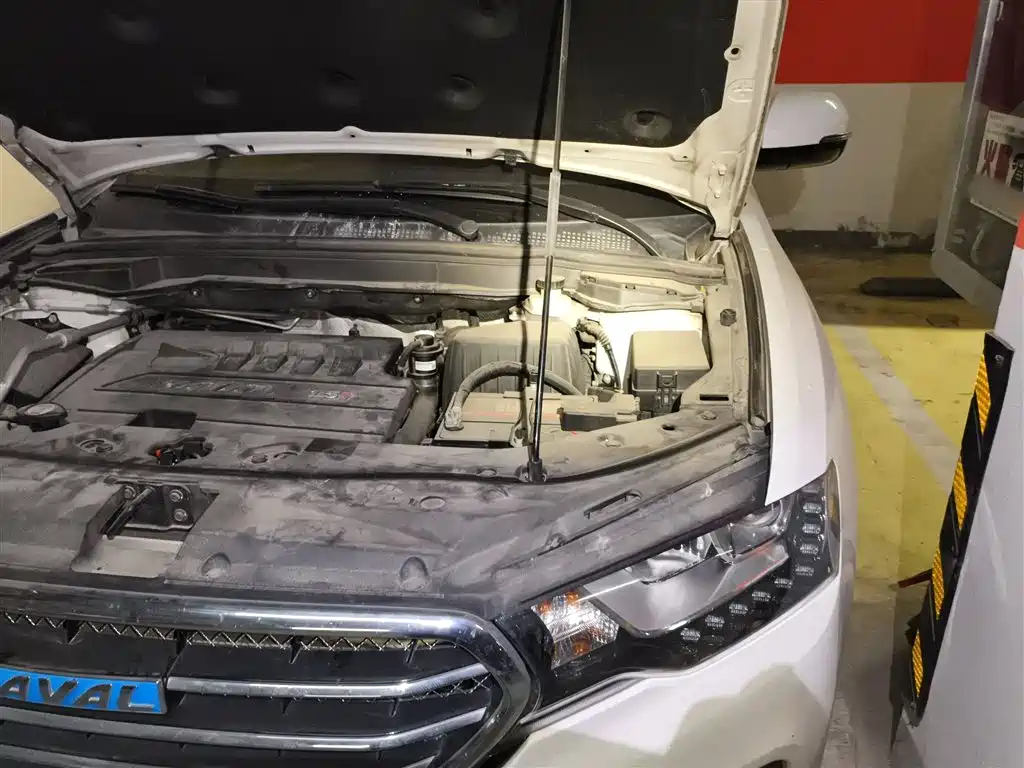 Haval H6 Coupe 2016 Blue Label 1.5T Automatic 2WD Urban фото 22