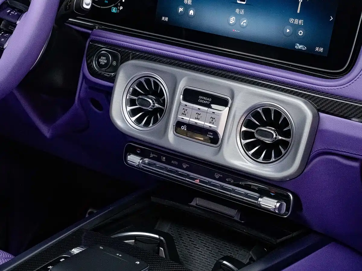 Mercedes-Benz G-Class 2010 G 500 фото 28