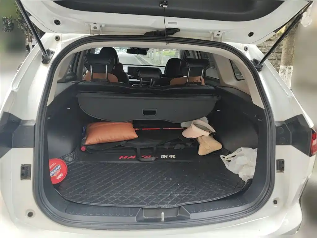 Haval H6 2022 3rd Gen 1.5T Auto 2WD Max фото 10