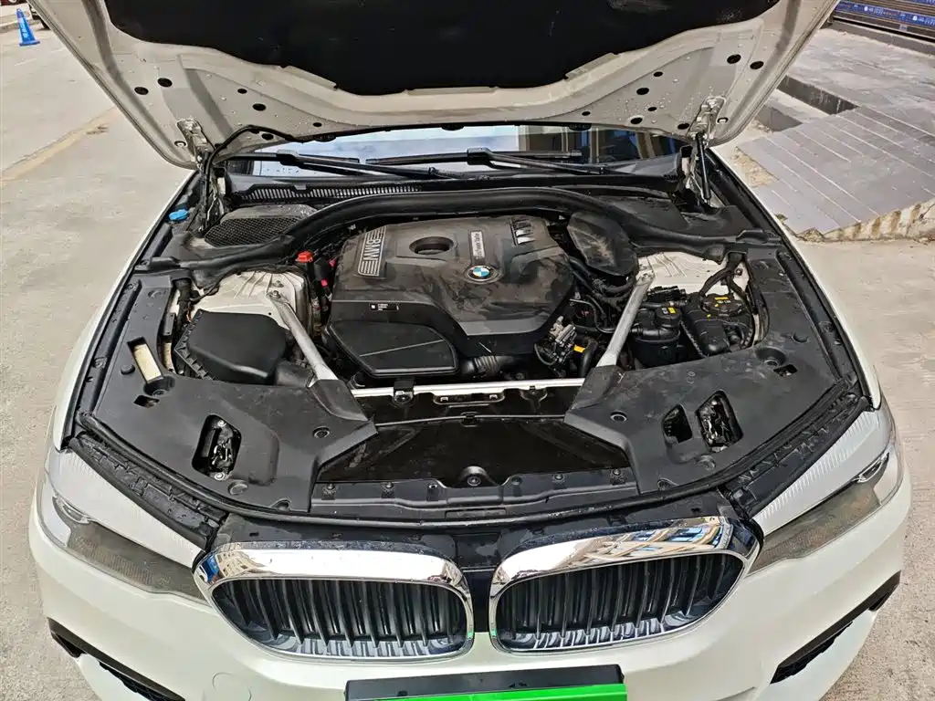 BMW 5 Series 2019 525Li M Sport Package фото 17