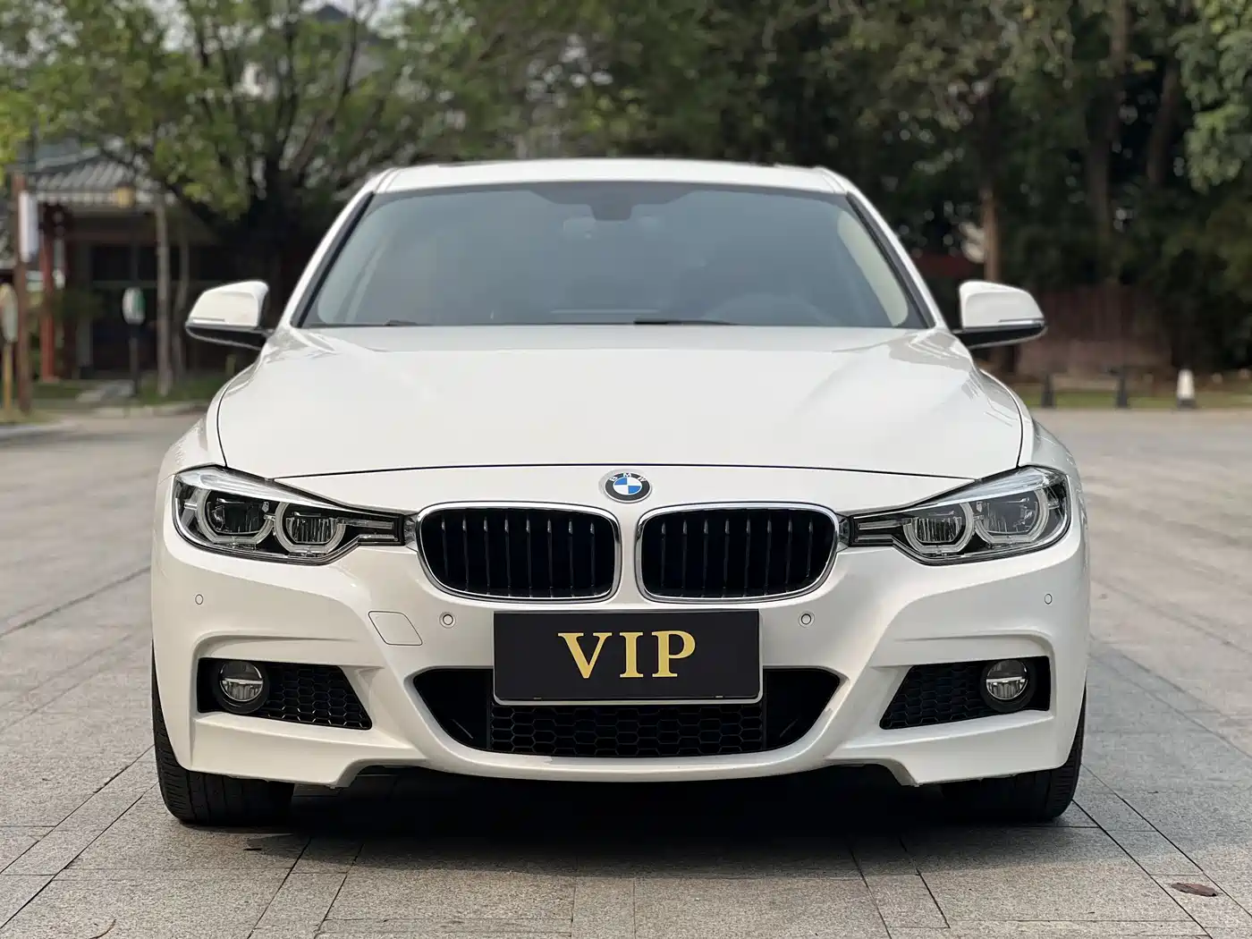 BMW 3 Series 2018 320Li Leading M Sport Package фото 2