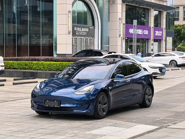 Tesla Model 3 2020 Standard Range Rear-Wheel Drive Upgrade