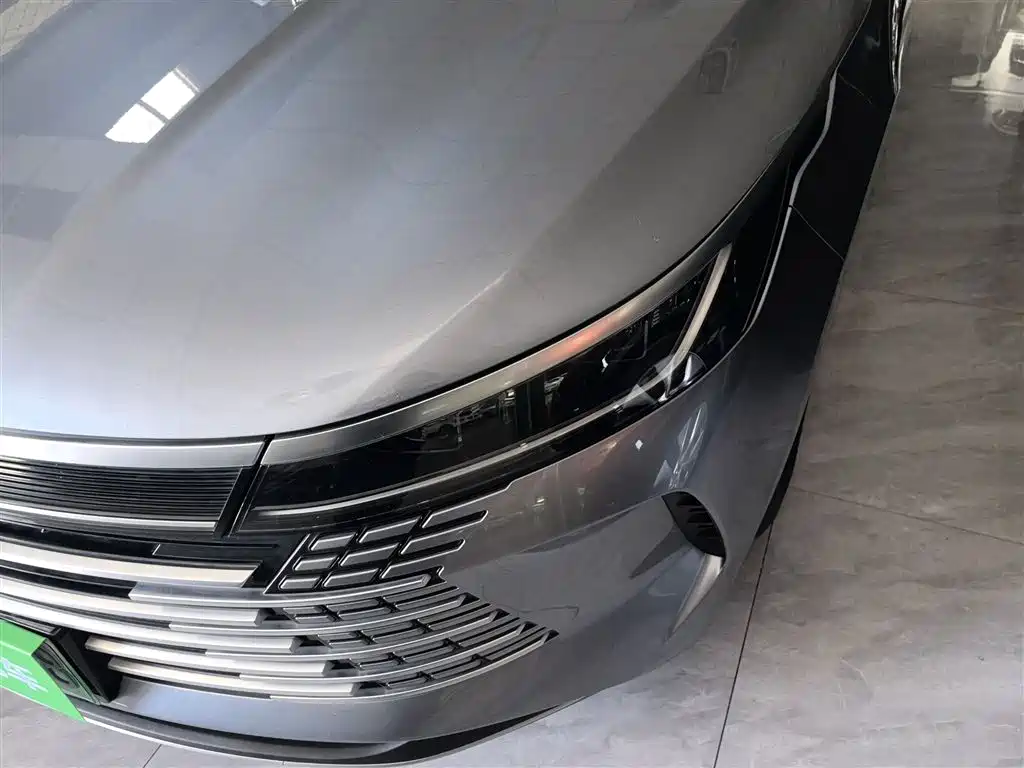 BYD Destroyer 05 2024 Glory Edition DM-i 55KM Luxury фото 18