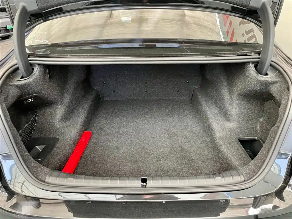 BMW 5 Series 2018 Facelift 530Li Leading Luxury Package фото 18