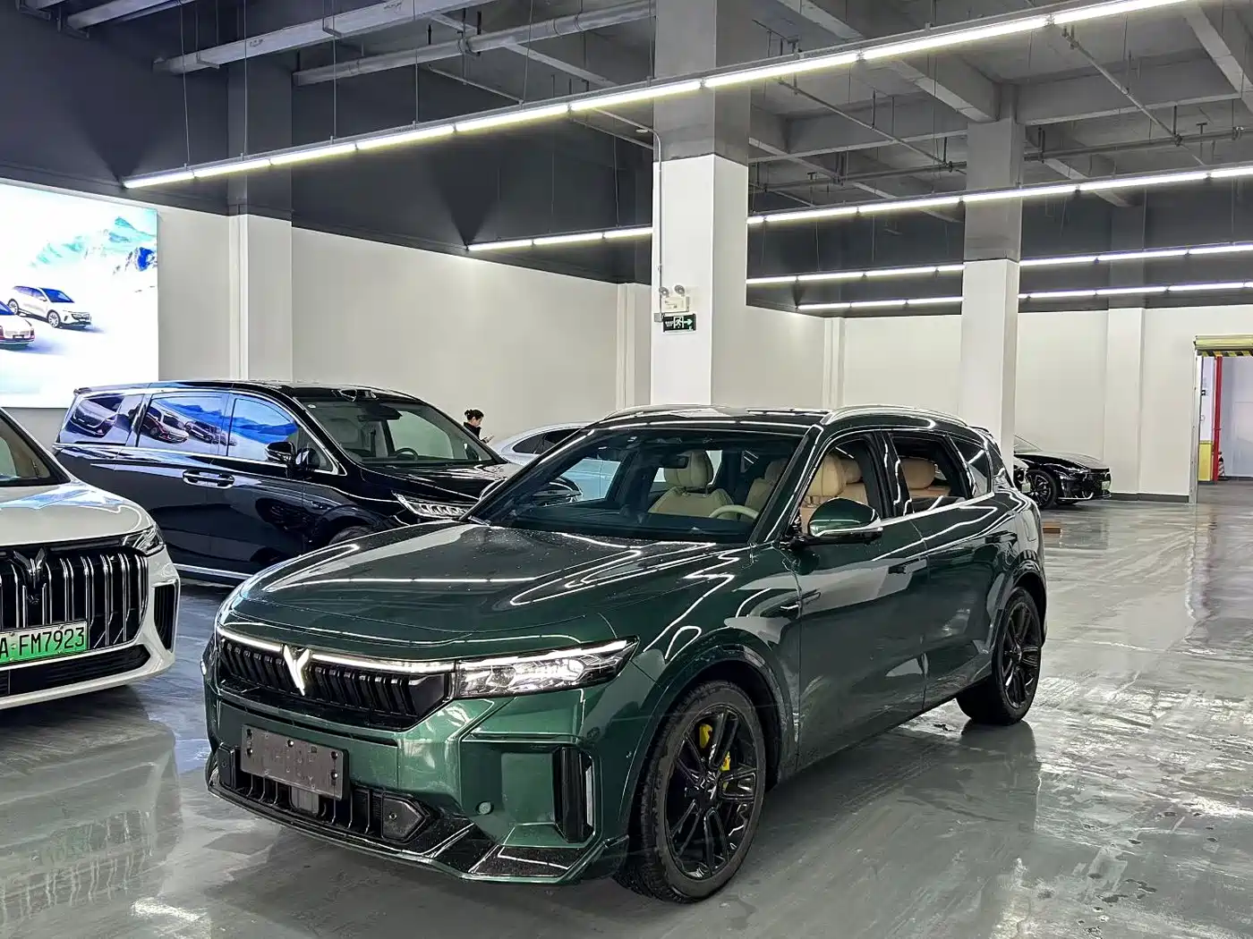 Voyah Auto VOYAH FREE 2024 Ultra Long Range Intelligent Driving Edition