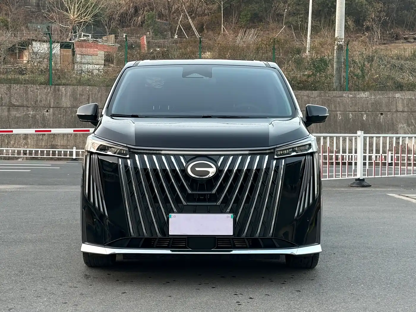 GAC Trumpchi Trumpchi M8 2024 Master Series 400T Ultimate Edition фото 2