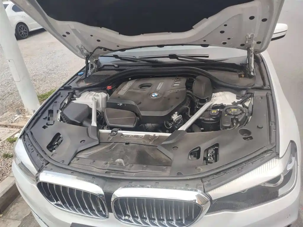 BMW 5 Series 2019 530Li Leading Luxury Package фото 11
