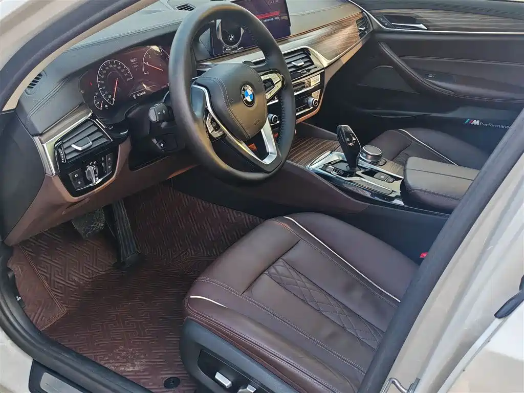 BMW 5 Series 2019 530Li Leading Luxury Package фото 21