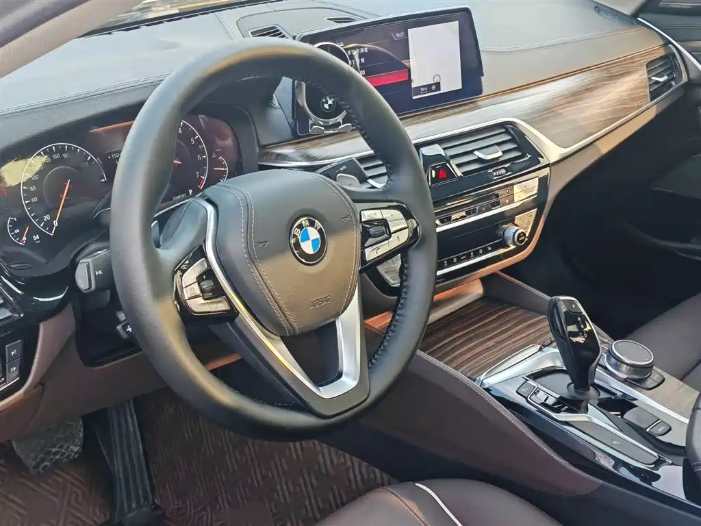 BMW 5 Series 2019 530Li Leading Luxury Package фото 12