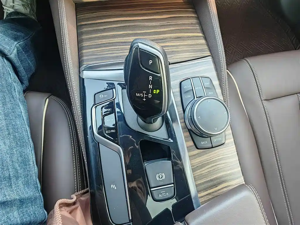 BMW 5 Series 2019 530Li Leading Luxury Package фото 8
