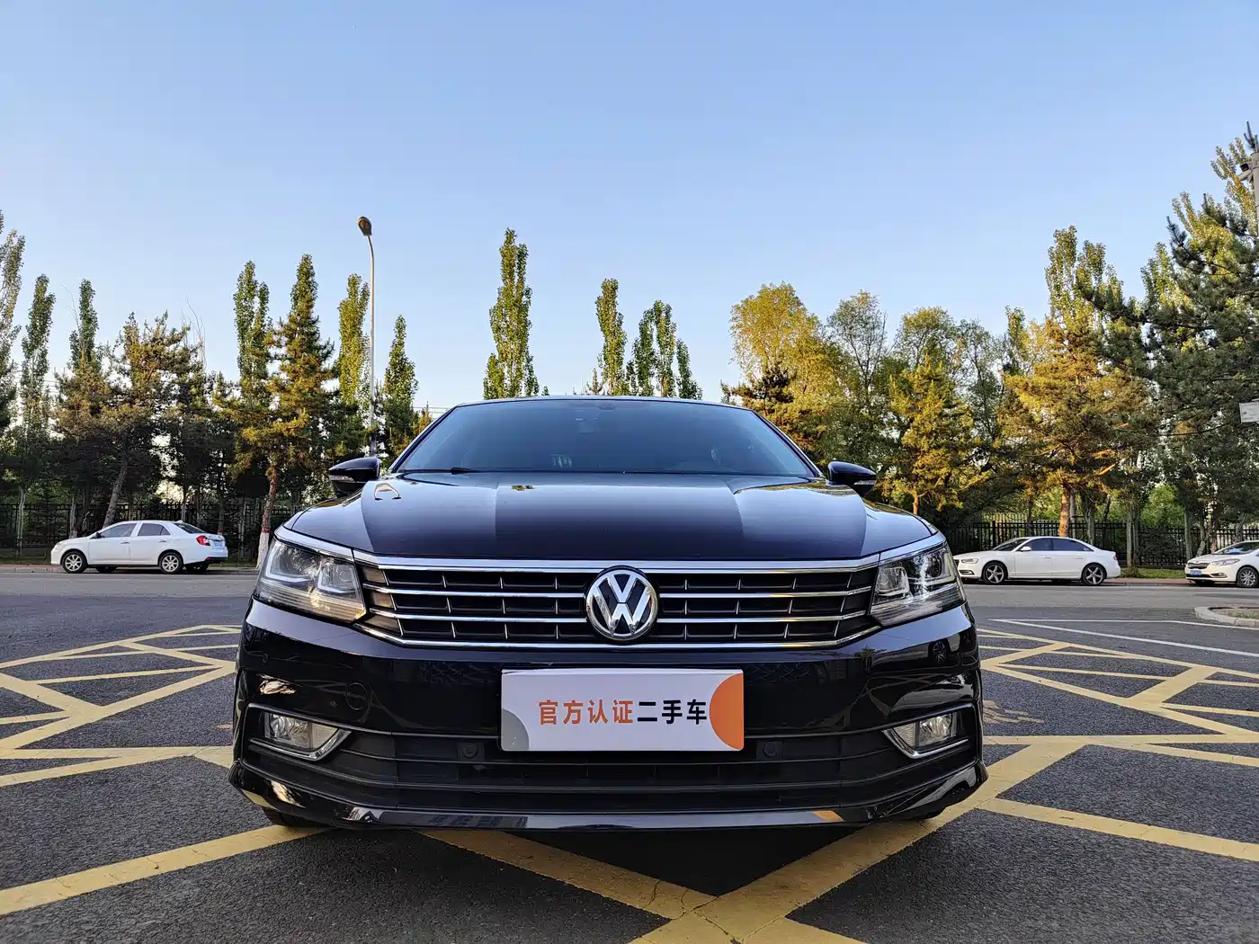 Volkswagen Passat 2017 330TSI DSG Prestige фото 2
