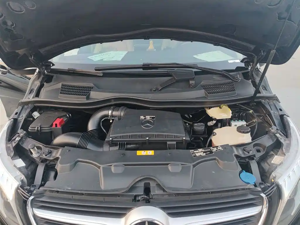 Mercedes-Benz V-Class 2018 V 260 Premium Edition China V фото 20