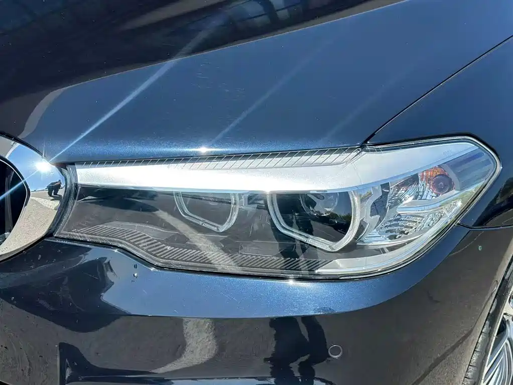 BMW 5 Series 2019 530Li Leading M Sport Package фото 8