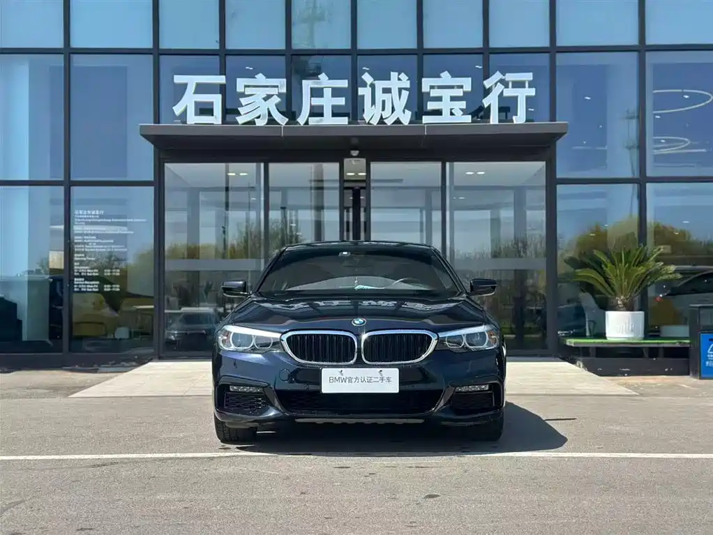 BMW 5 Series 2019 530Li Leading M Sport Package фото 2