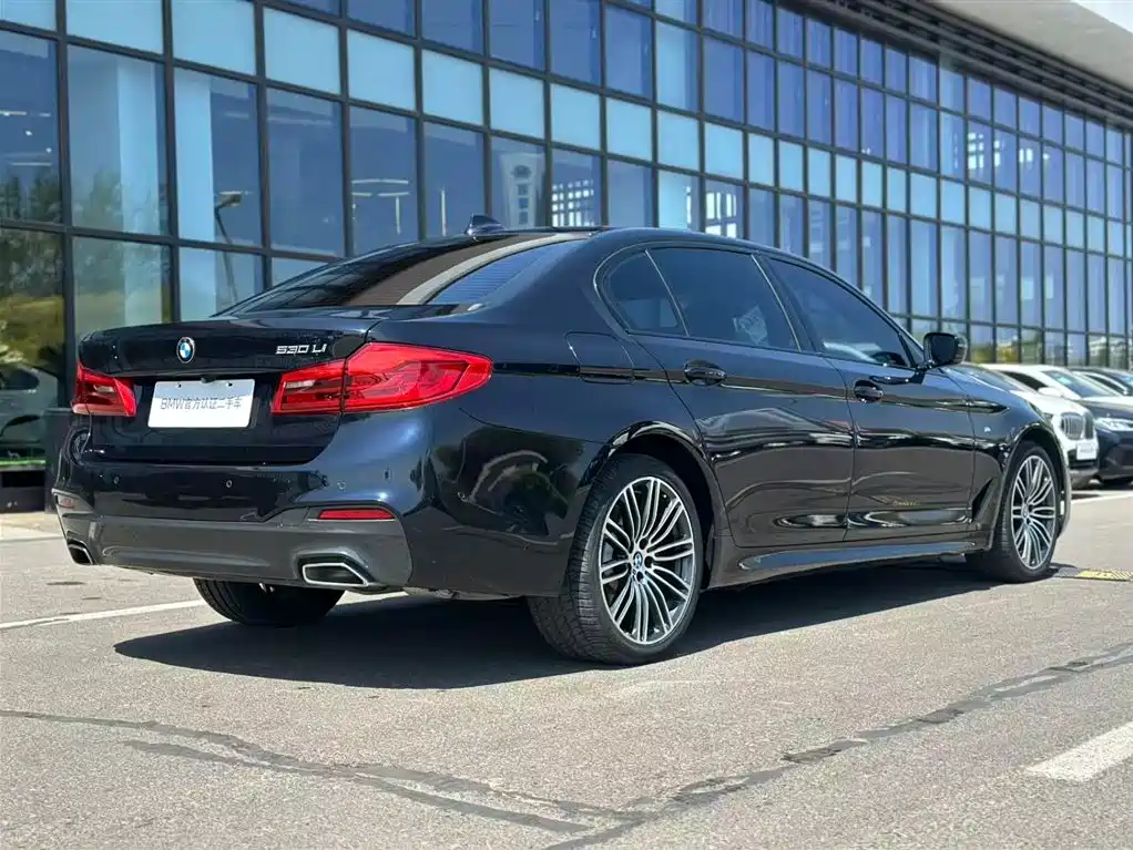 BMW 5 Series 2019 530Li Leading M Sport Package фото 7