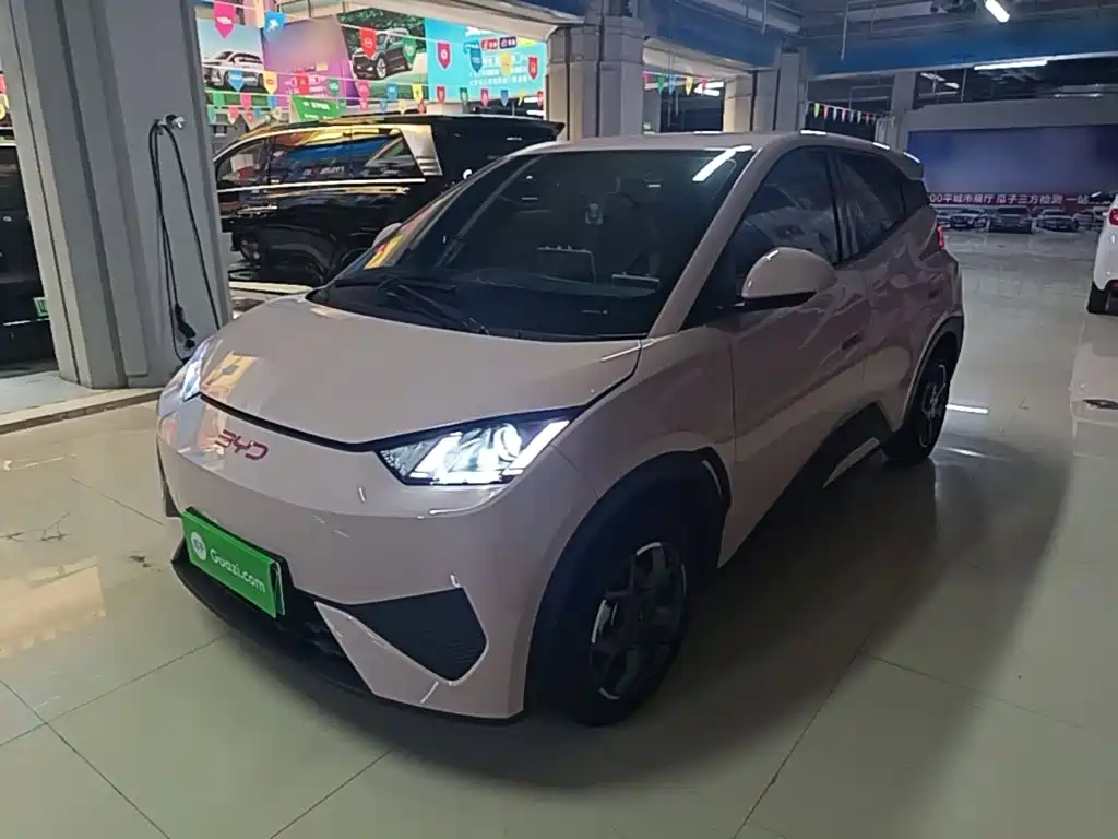 BYD Seagull 2025 Smart Drive Edition 305km Vitality Version