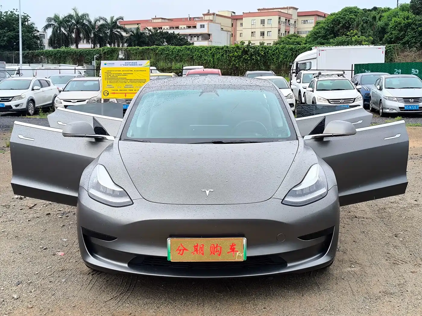 Tesla Model 3 2021