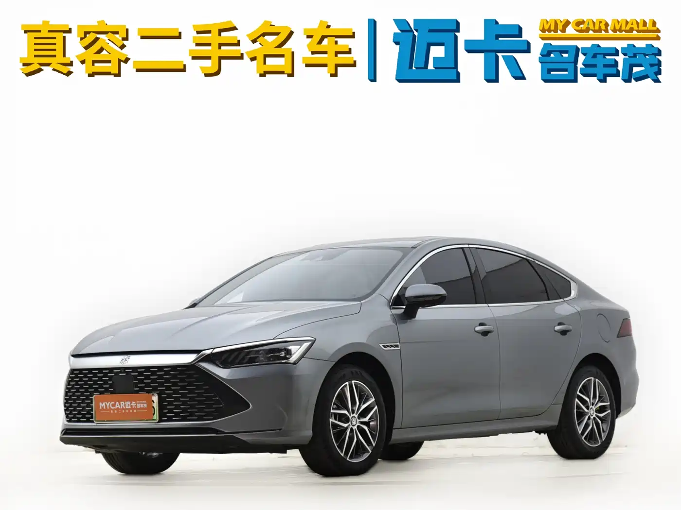 BYD Qin PLUS 2023 Champion Edition DM-i 120KM Excellence