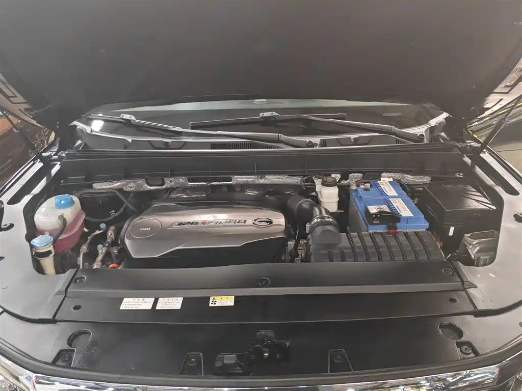 GAC Trumpchi Trumpchi GS8 2017 320T 2WD Luxury Smart Connect (7-seater) фото 20