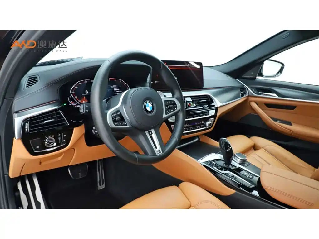 BMW 5 Series (Import) 2021 530i Style Edition M Sport Package фото 6