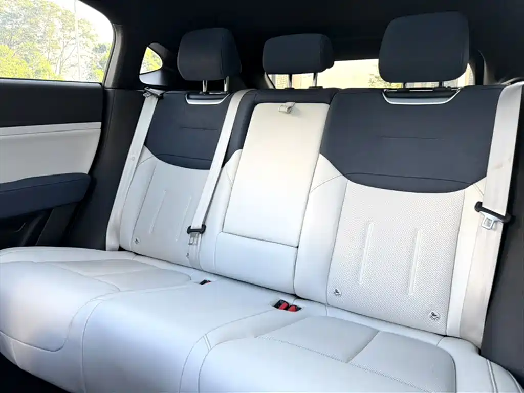 XPeng G6 2023 700 AWD Performance Max фото 20
