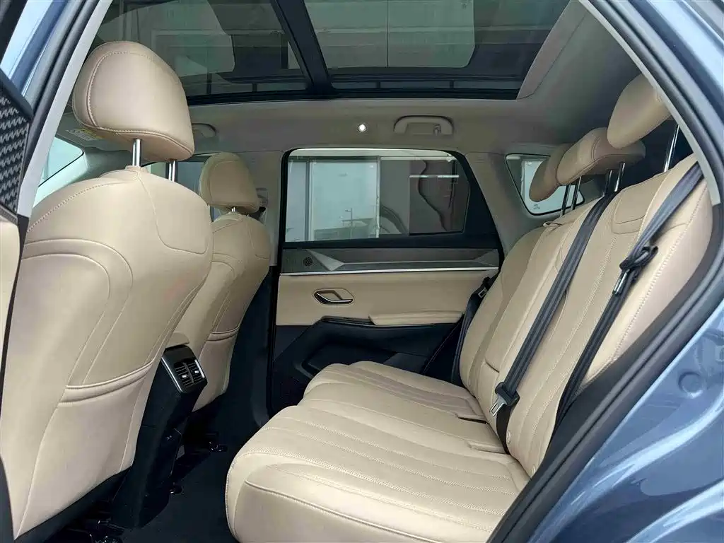 BYD SONGJIANG NEW ENERGY