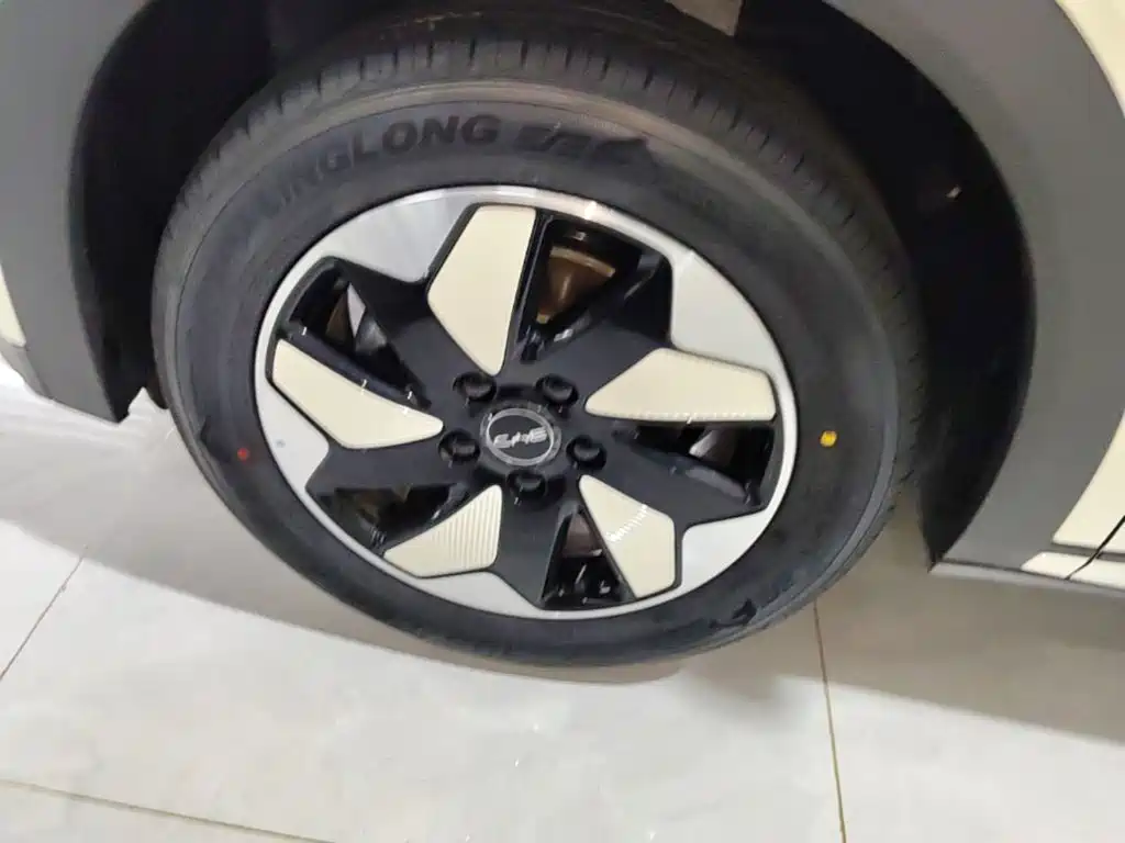 BYD Dolphin 2026 2025 420km Freedom Edition