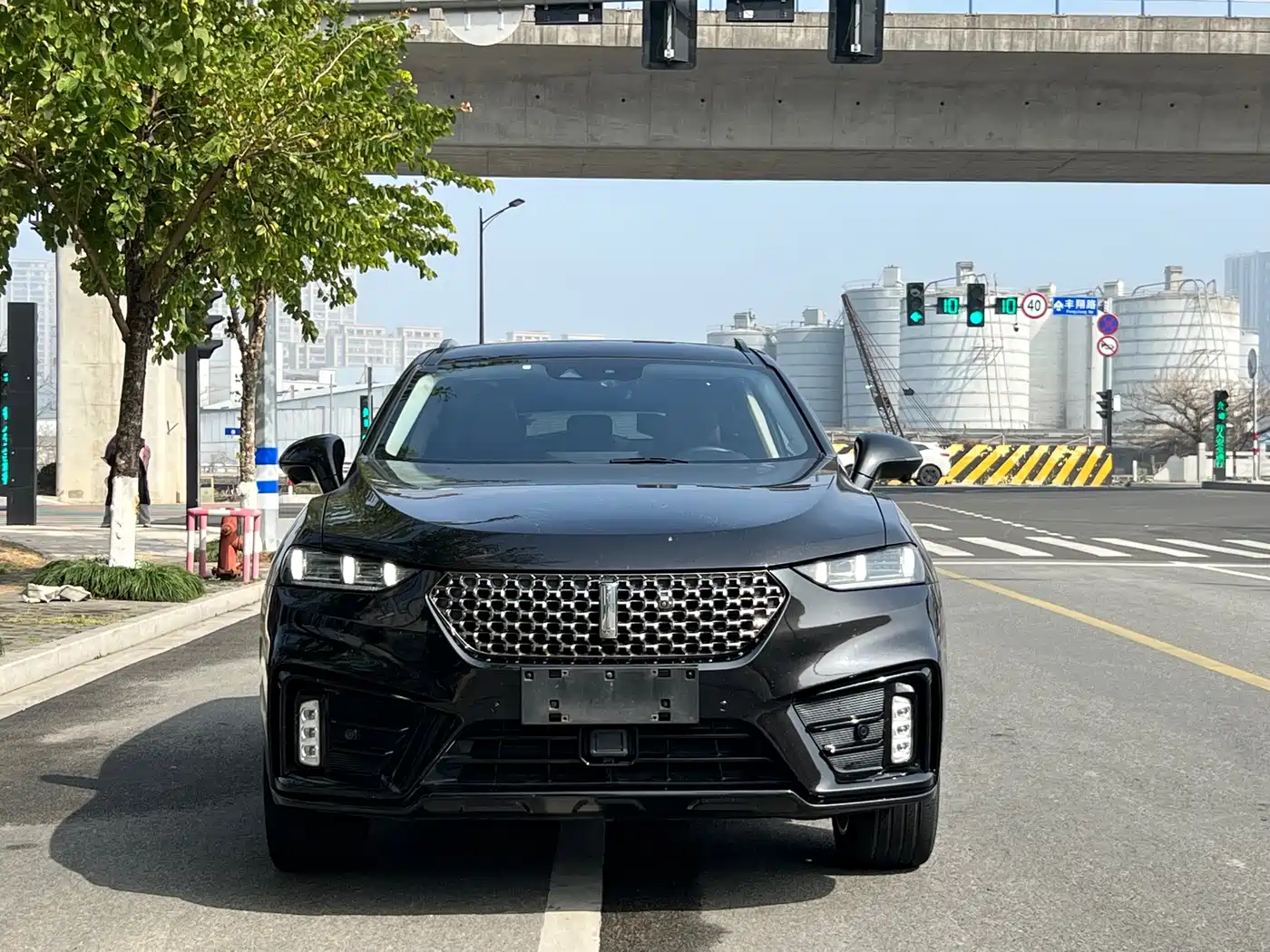 WEY VV7 2020 2020 Model 2.0T Flagship