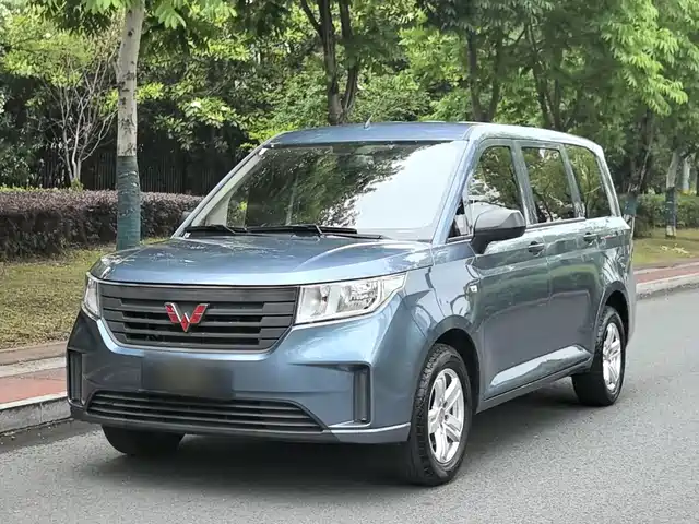  Wuling Motors Wuling Hongguang PLUS 2020 1.5L Manual Standard 5-seater