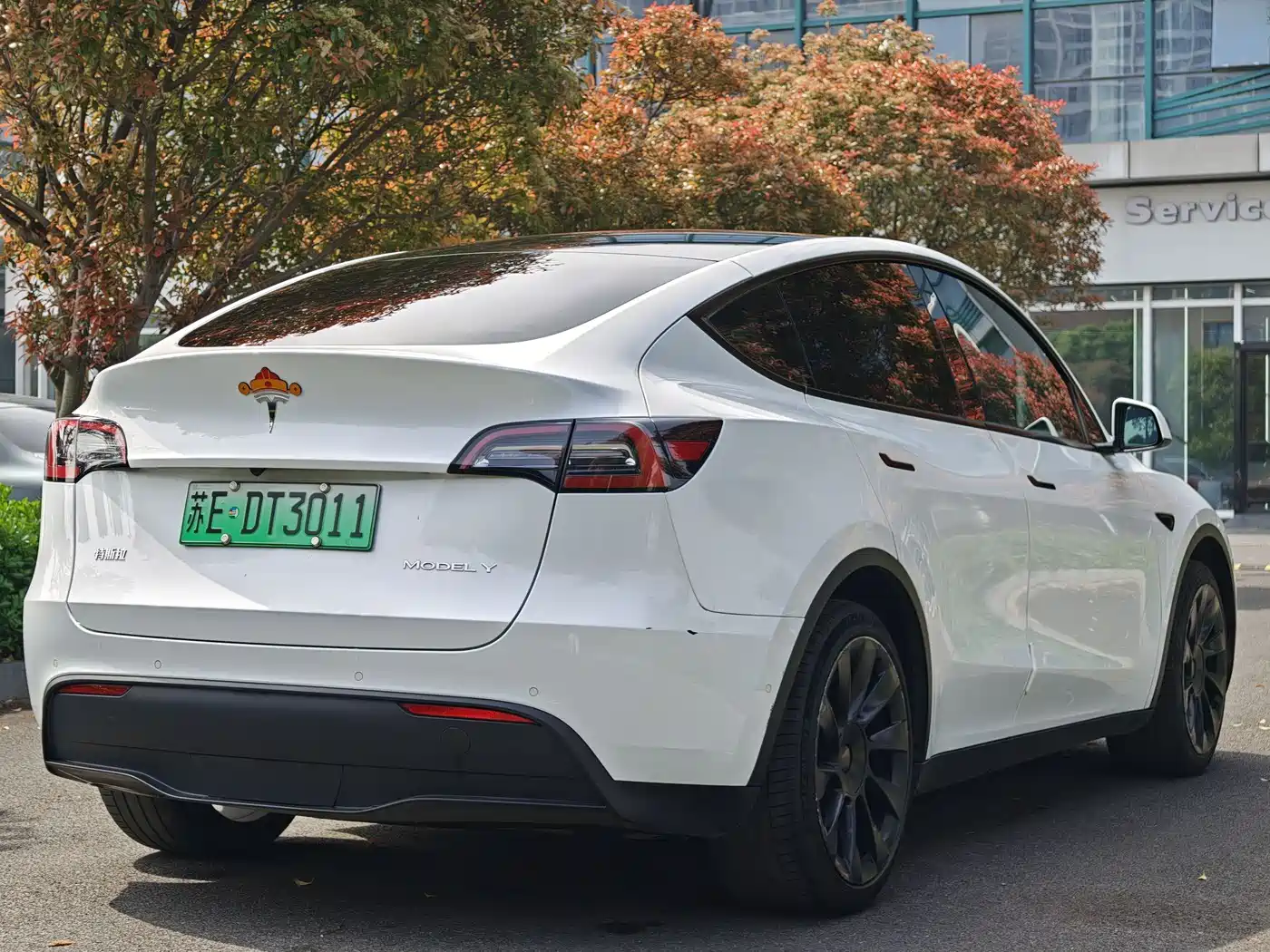TESLA MODEL Y