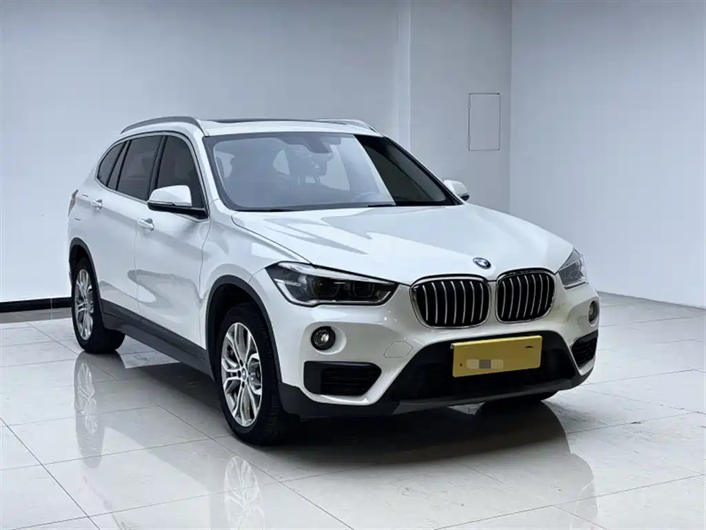 BMW X1 2019 sDrive20Li Leading Model фото 3