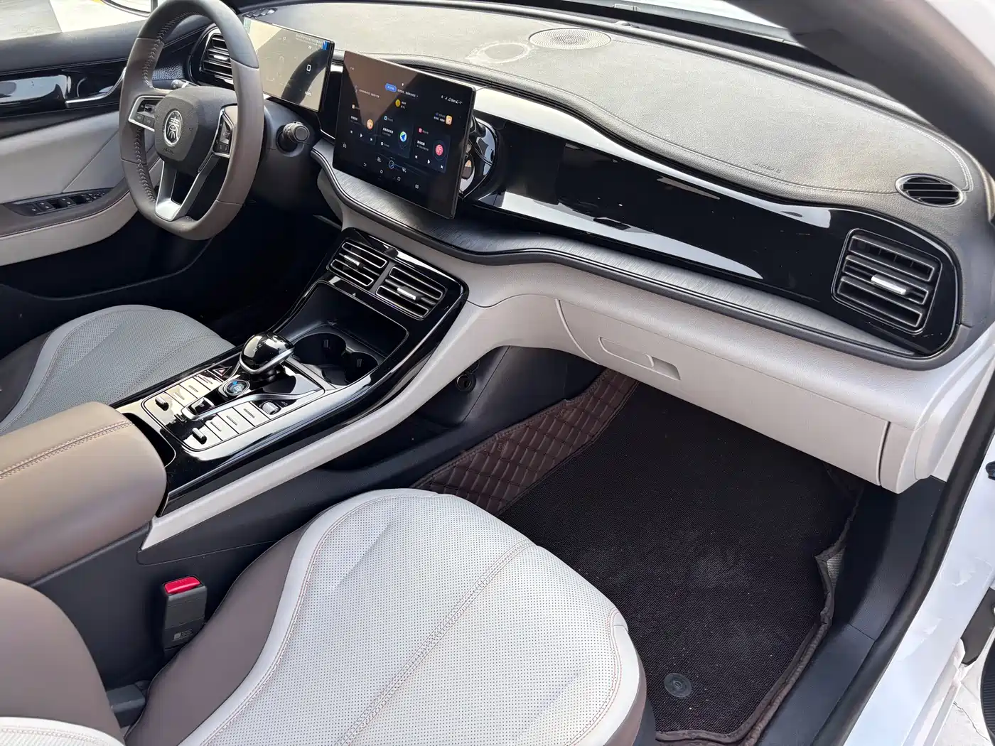 BYD Qin PLUS 2024 Glory Edition DM-i 55KM Leading фото 15