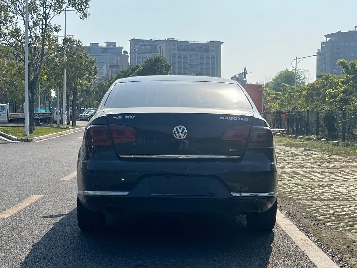 Volkswagen Magotan 2013 1.8TSI Luxury фото 4
