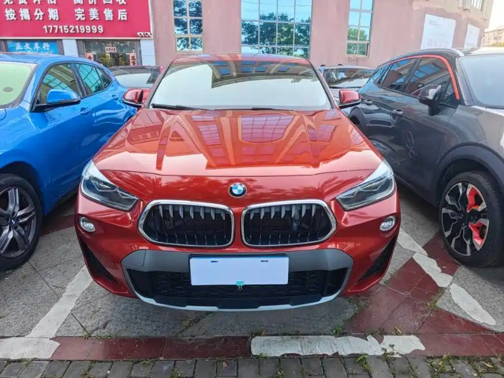 BMW X2 (Import) 2019 2019 sDrive20i M Off-Road Package China VI