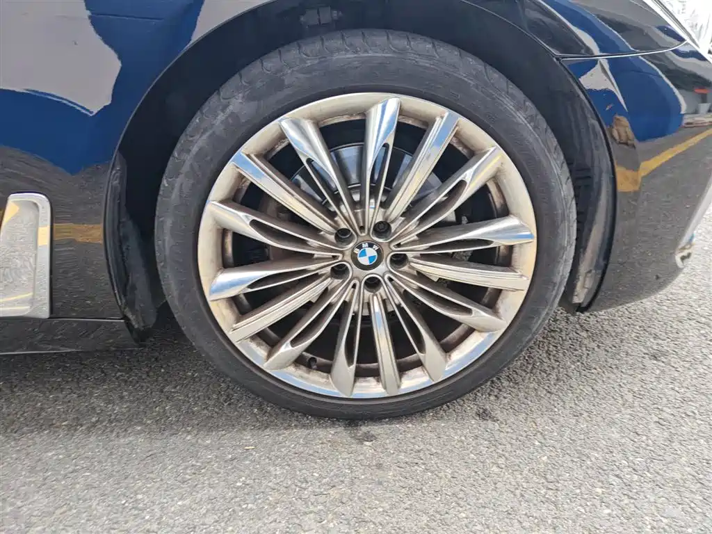 BMW 7 Series 2016 730Li Luxury фото 14